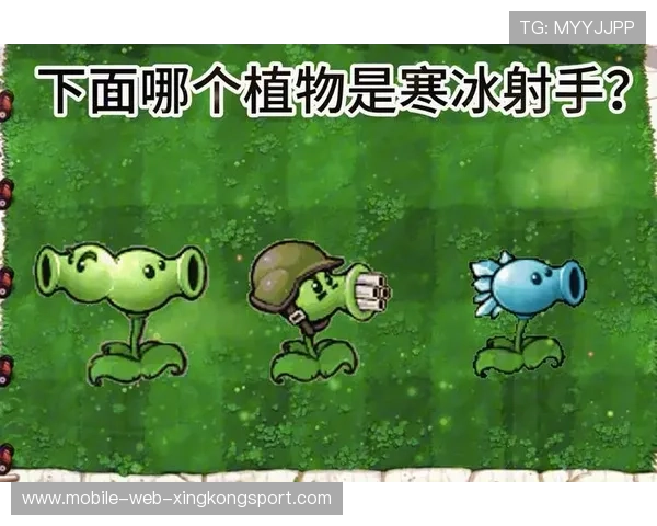 寒冰射手?火箭众志成城,深厚底蕴铸就三连胜! 寒冰射手?火箭众志成城,深厚底蕴铸就三连胜!